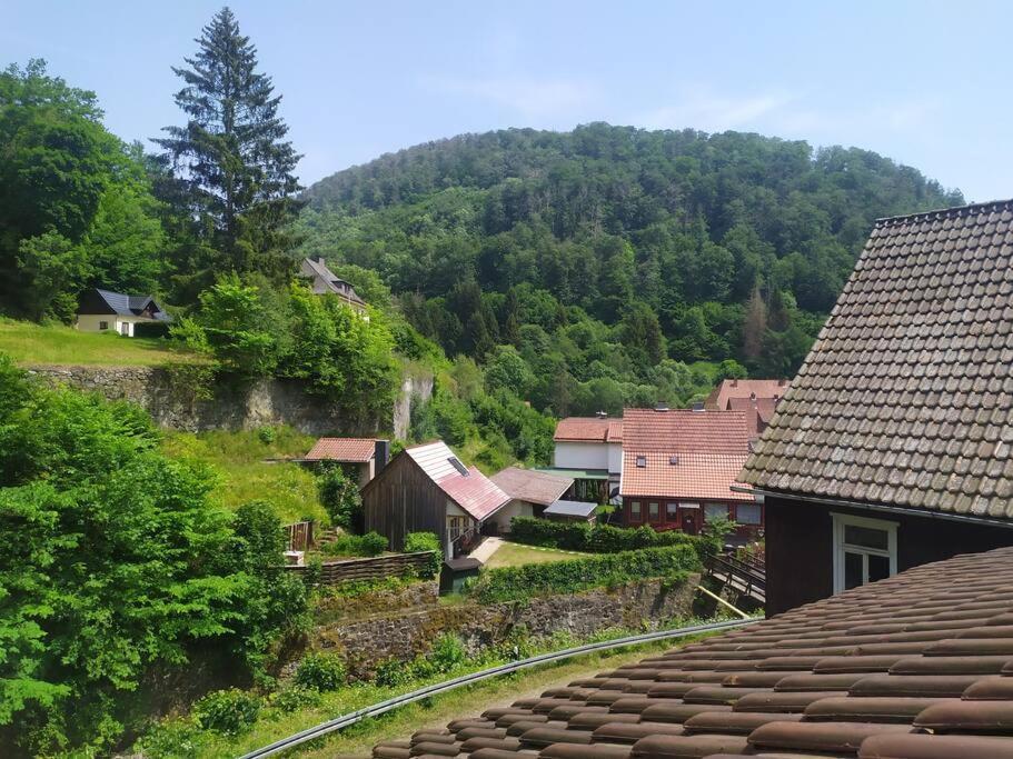 Haus Am Wald Zorge 16+ Gaeste Walkenried Екстериор снимка