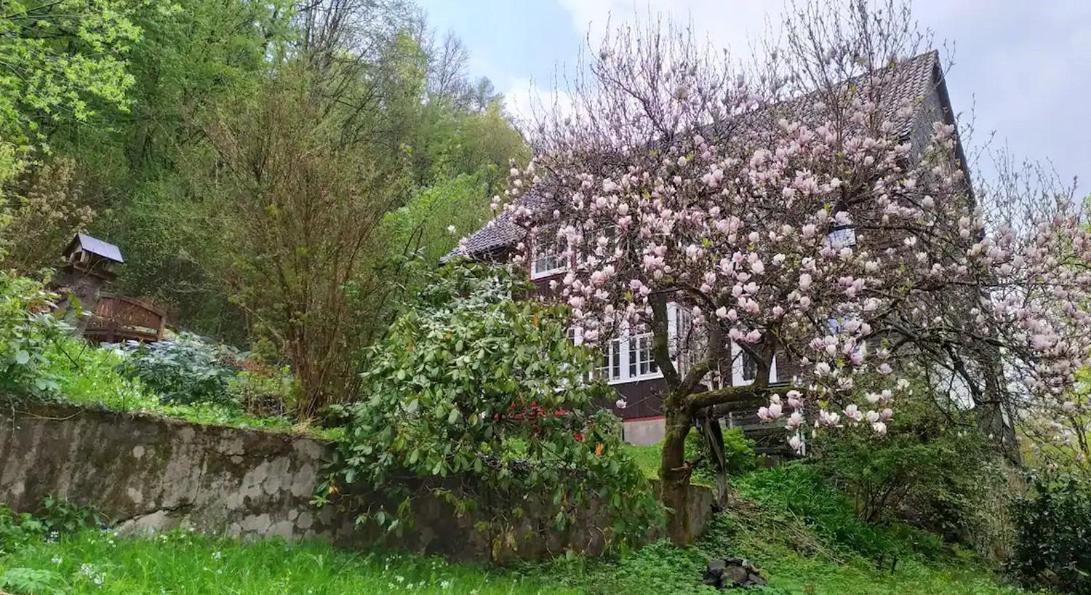Haus Am Wald Zorge 16+ Gaeste Walkenried Екстериор снимка