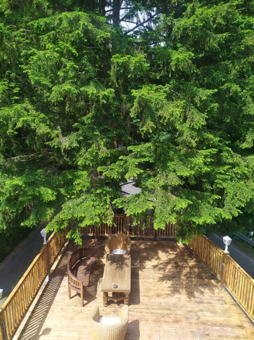 Haus Am Wald Zorge 16+ Gaeste Walkenried Екстериор снимка