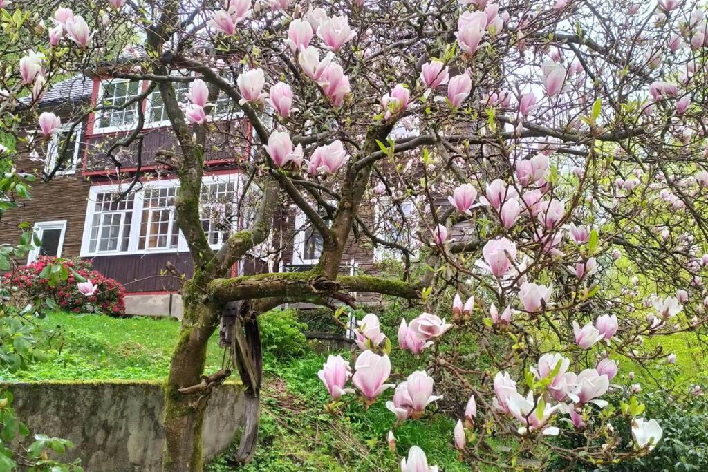 Haus Am Wald Zorge 16+ Gaeste Walkenried Екстериор снимка