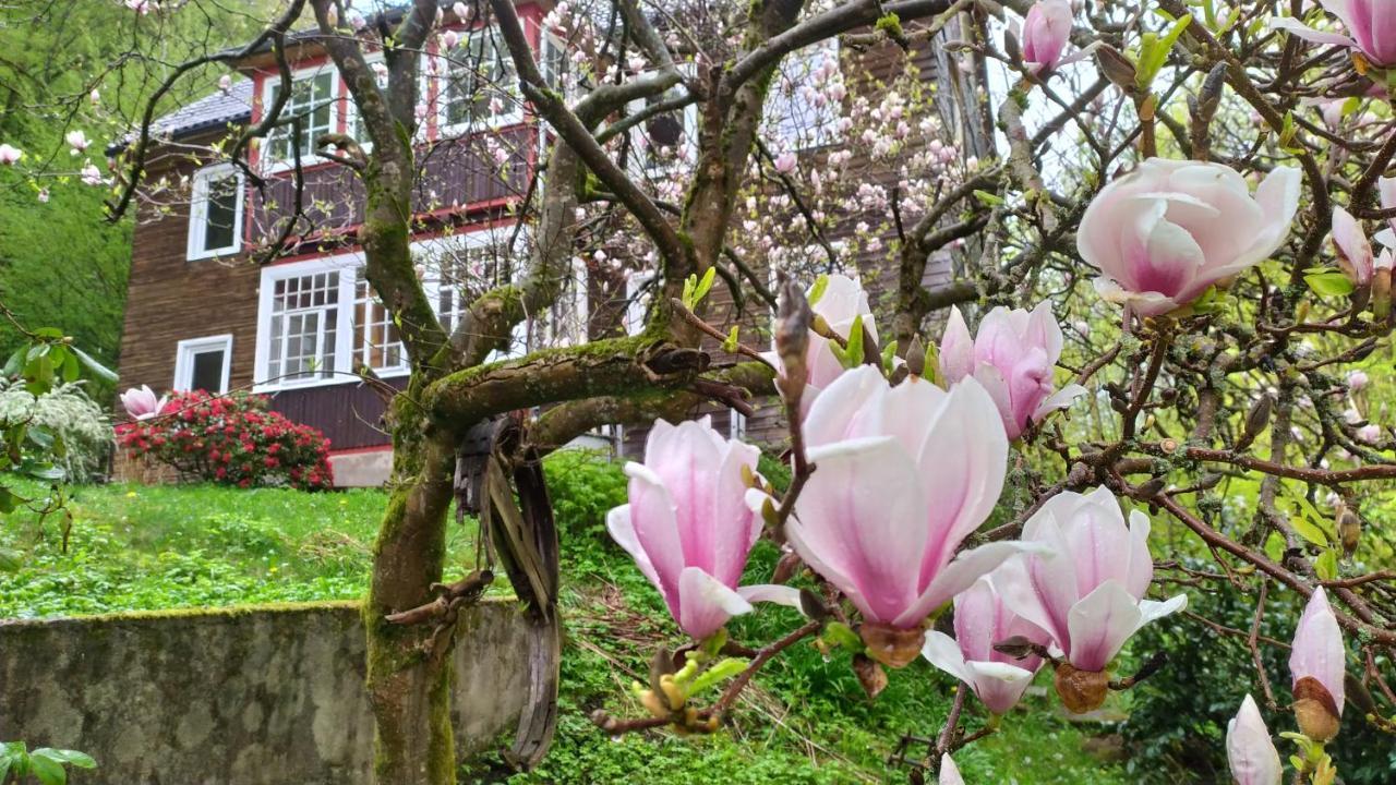 Haus Am Wald Zorge 16+ Gaeste Walkenried Екстериор снимка
